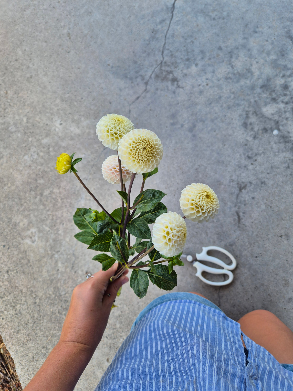 Posy Jar
