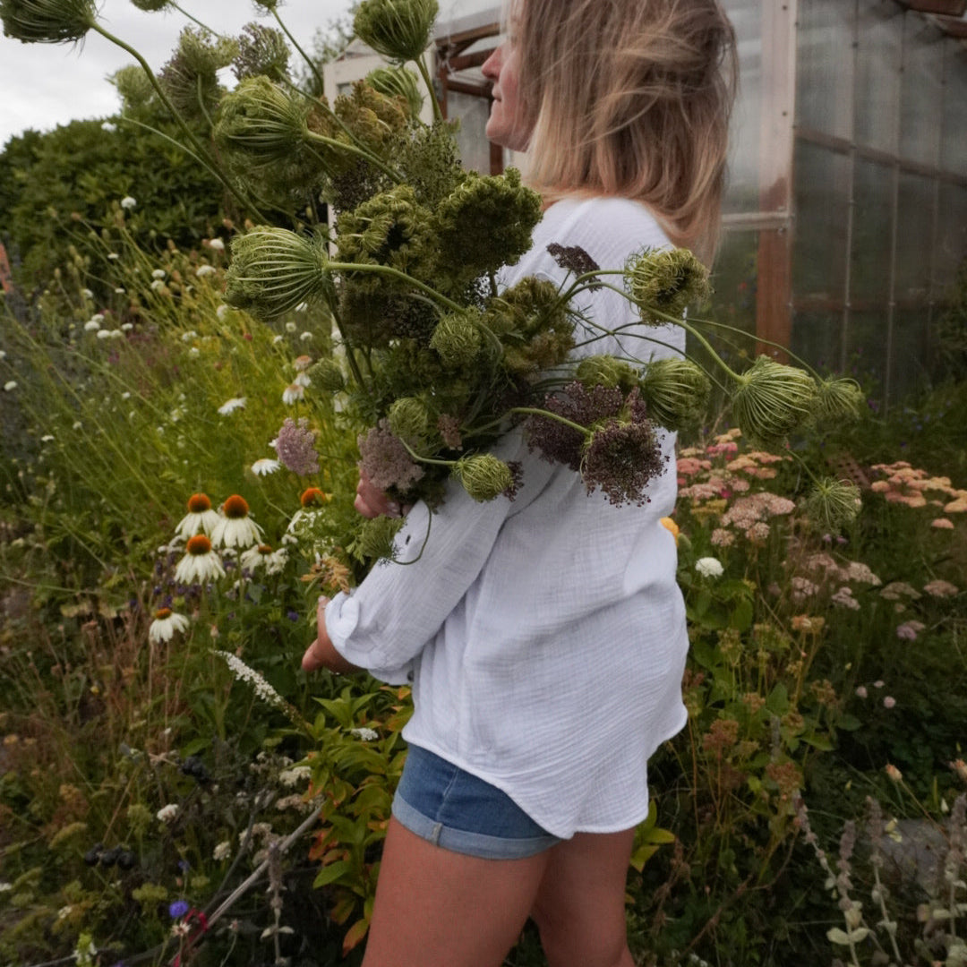 Growing Flowers In Urban Taupo