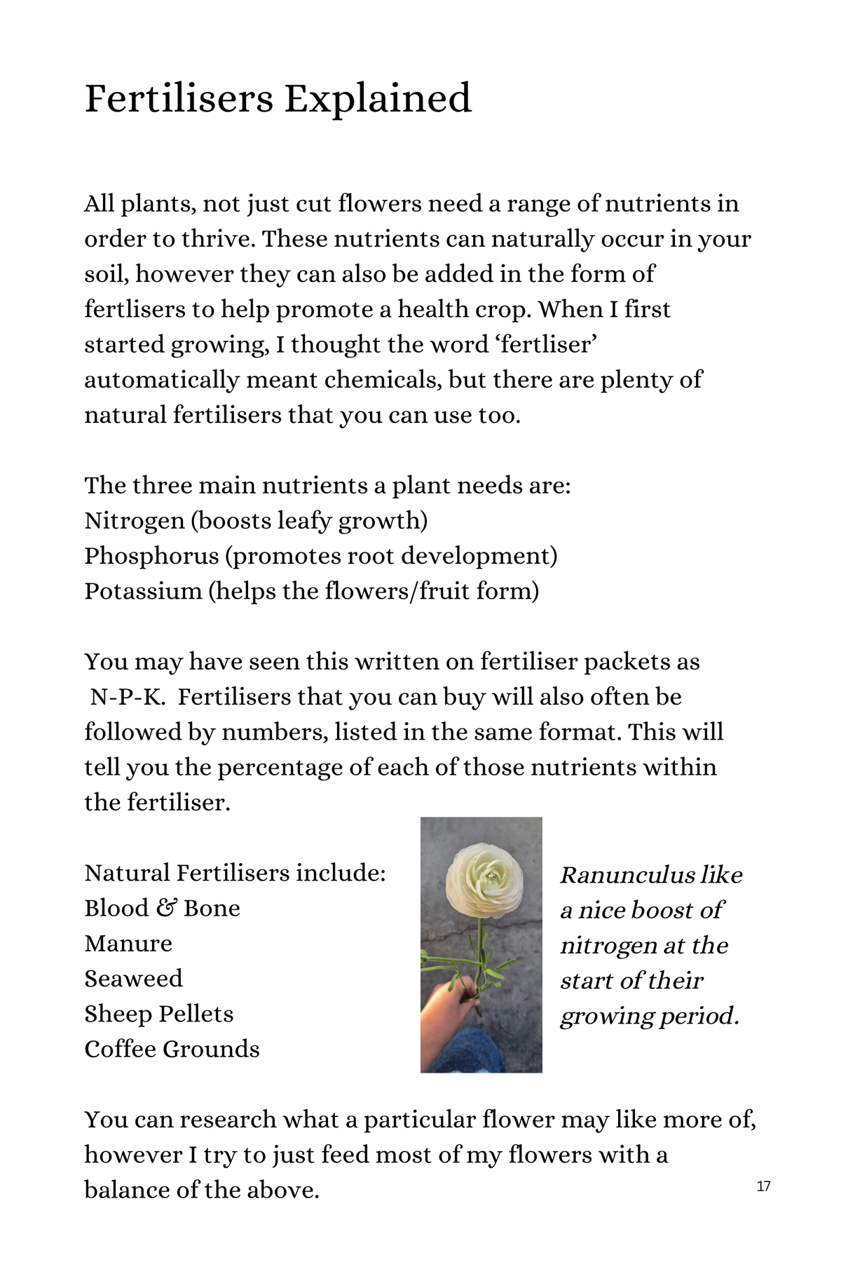 Grow a Cut Flower Garden Ebook