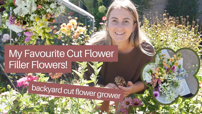 My Favourite Filler Flowers